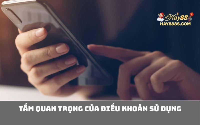 Tầm Quan Trọng của Điều Khoản Sử Dụng