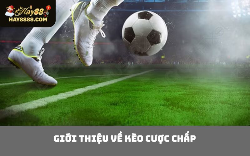 Giới thiệu về kèo cược chấp