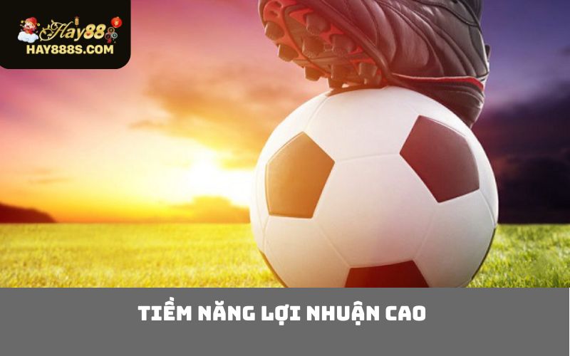 Tiềm năng lợi nhuận cao