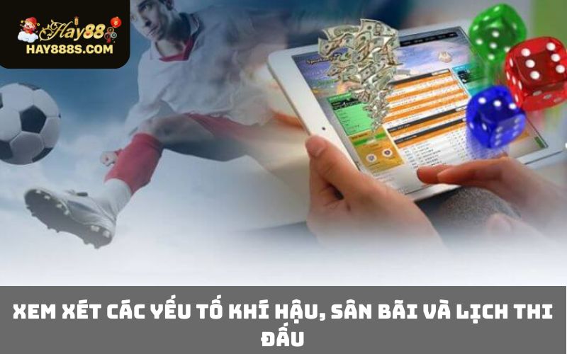 Xem xét các yếu tố khí hậu, sân bãi và lịch thi đấu